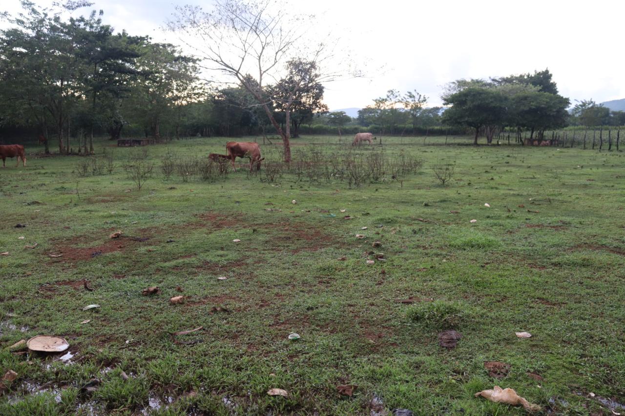 First image of Elim in Braes River, St. Elizabeth, Jamaica - property is For Sale