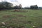 First image of Elim in Braes River, St. Elizabeth, Jamaica - property is For Sale