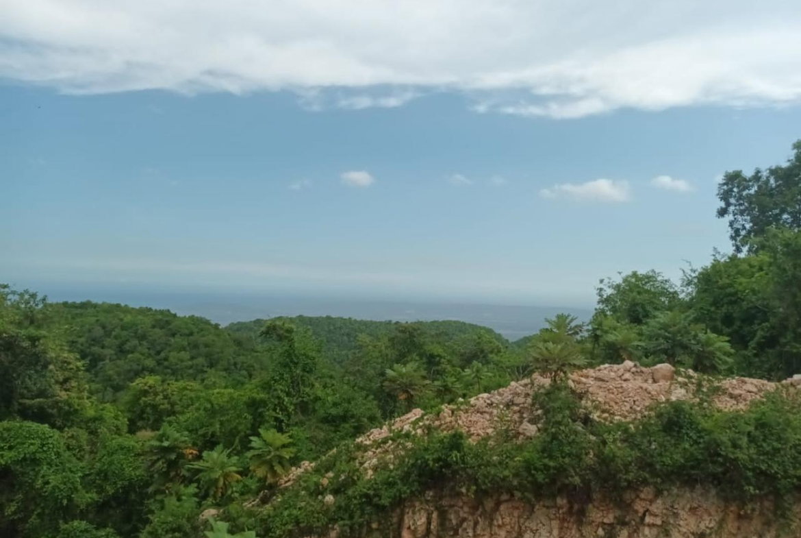 Third image of Lot-15 Part of Old Burn Hill Roc in Kingston 19, St. Andrew, Jamaica - property is For Sale