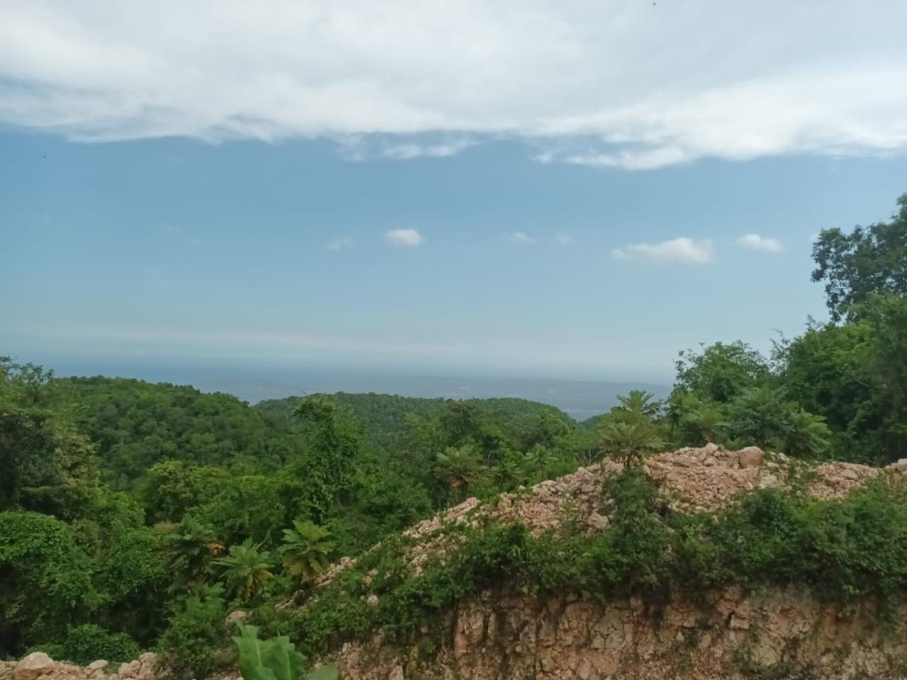 Third image of Lot-15 Part of Old Burn Hill Roc in Kingston 19, St. Andrew, Jamaica - property is For Sale
