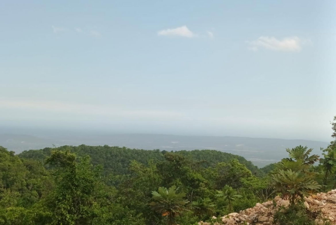 Sixth image of Lot-15 Part of Old Burn Hill Roc in Kingston 19, St. Andrew, Jamaica - property is For Sale