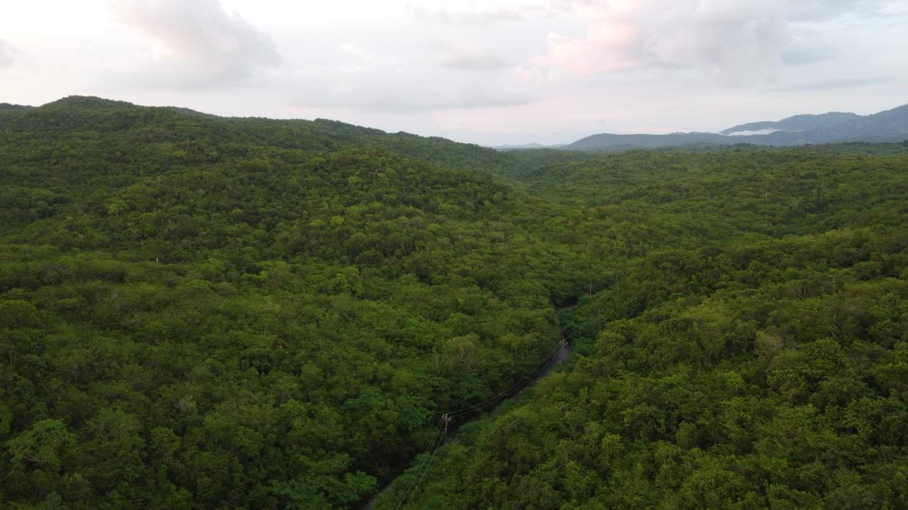 Fourteenth image of Sevens, May Pen in May Pen, Clarendon, Jamaica - property is For Sale