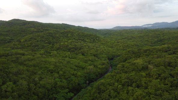 Fourteenth image of Sevens, May Pen in May Pen, Clarendon, Jamaica - property is For Sale
