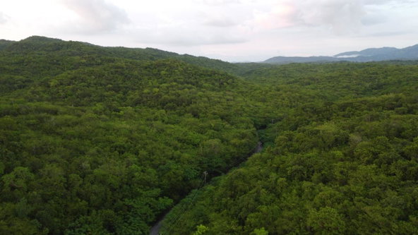 Fifteenth image of Sevens, May Pen in May Pen, Clarendon, Jamaica - property is For Sale