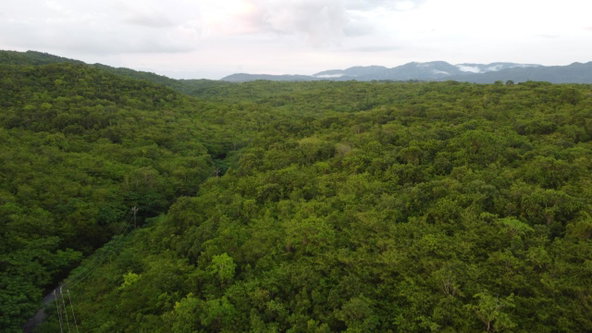 Sixteenth image of Sevens, May Pen in May Pen, Clarendon, Jamaica - property is For Sale