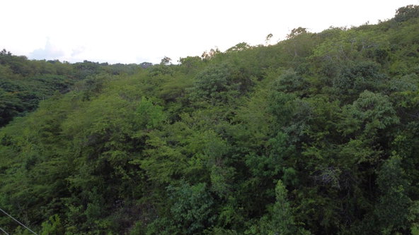 Twentieth image of Sevens, May Pen in May Pen, Clarendon, Jamaica - property is For Sale