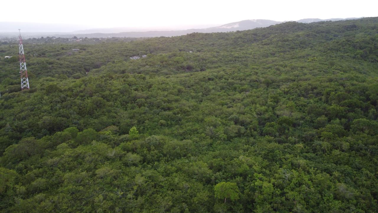 Fourth image of Sevens, May Pen in May Pen, Clarendon, Jamaica - property is For Sale