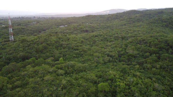 Fourth image of Sevens, May Pen in May Pen, Clarendon, Jamaica - property is For Sale