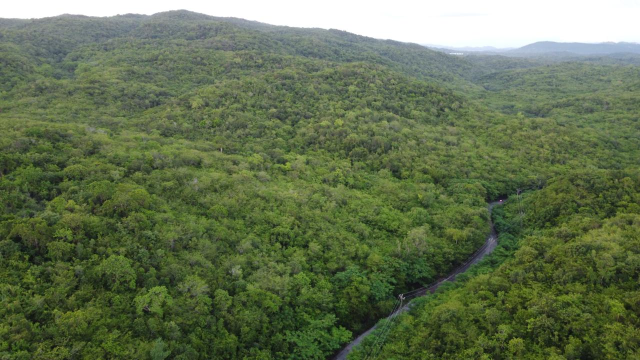 Fifth image of Sevens, May Pen in May Pen, Clarendon, Jamaica - property is For Sale