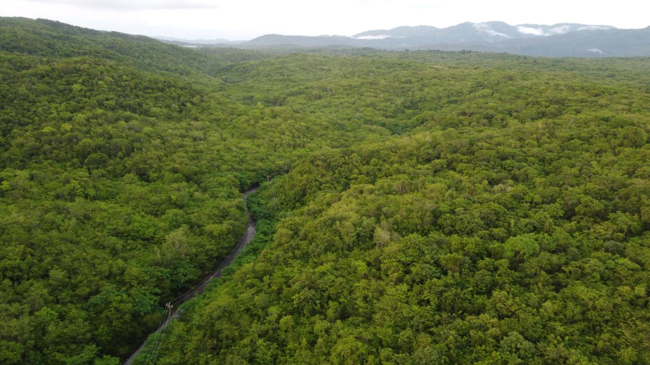Sixth image of Sevens, May Pen in May Pen, Clarendon, Jamaica - property is For Sale