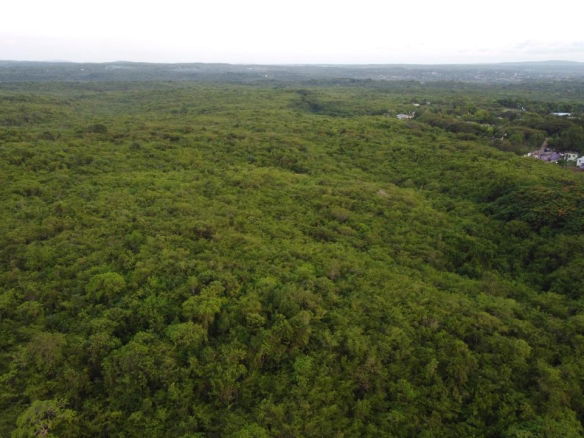 First image of Sevens, May Pen in May Pen, Clarendon, Jamaica - property is For Sale