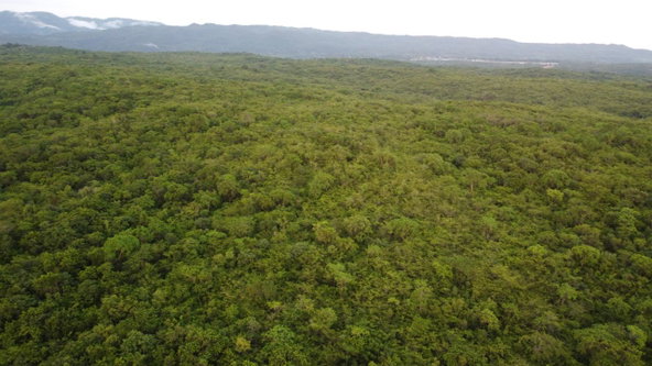 Seventh image of Sevens, May Pen in May Pen, Clarendon, Jamaica - property is For Sale