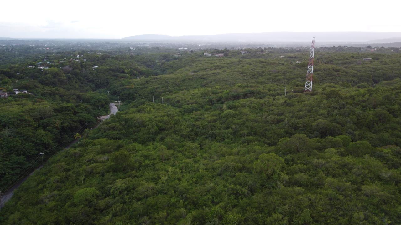 Ninth image of Sevens, May Pen in May Pen, Clarendon, Jamaica - property is For Sale