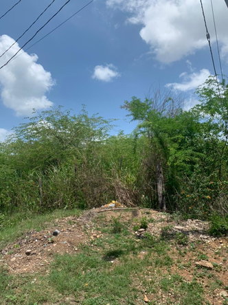 Fifth image of Part Of- Belle Plain Street in Osbourne Store, Clarendon, Jamaica - property is For Sale
