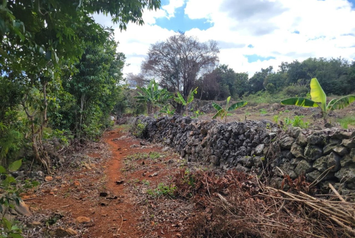 Second image of Red Bank in Hat Field, Manchester, Jamaica - property is For Sale