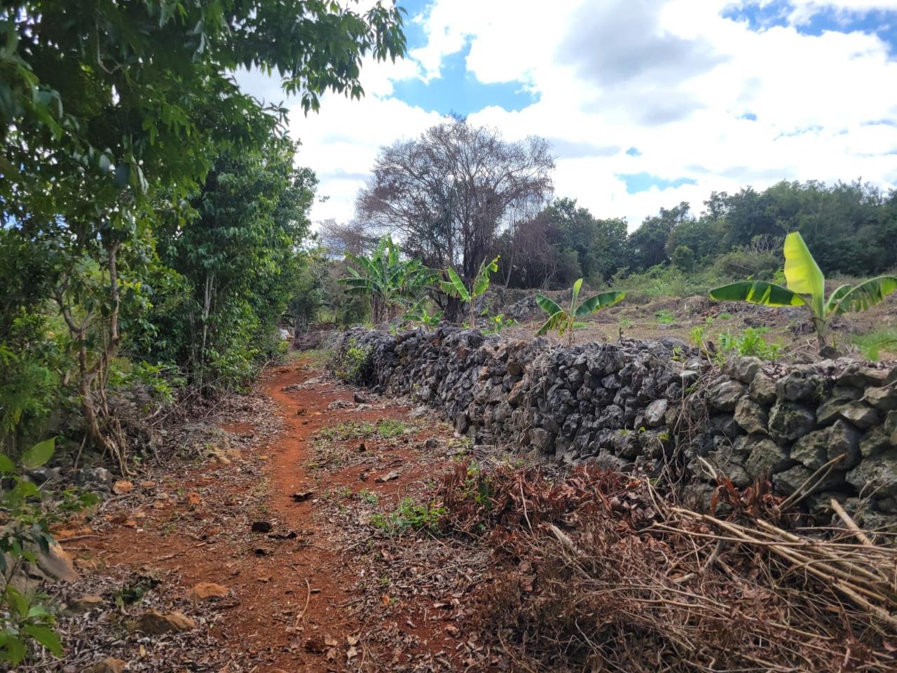 Second image of Red Bank in Hat Field, Manchester, Jamaica - property is For Sale