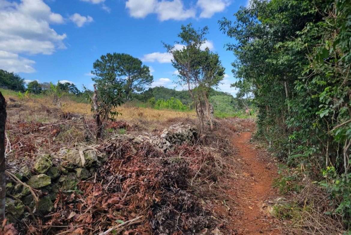 Third image of Red Bank in Hat Field, Manchester, Jamaica - property is For Sale