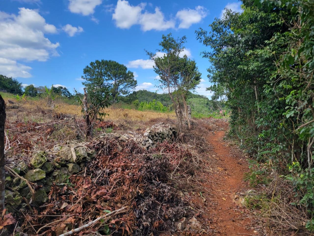 Third image of Red Bank in Hat Field, Manchester, Jamaica - property is For Sale