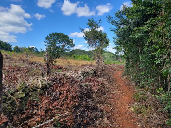 Third image of Red Bank in Hat Field, Manchester, Jamaica - property is For Sale