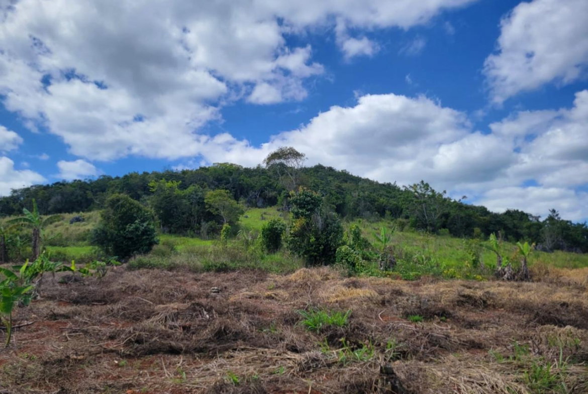 Fourth image of Red Bank in Hat Field, Manchester, Jamaica - property is For Sale