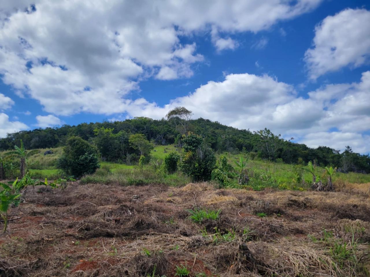 Fourth image of Red Bank in Hat Field, Manchester, Jamaica - property is For Sale
