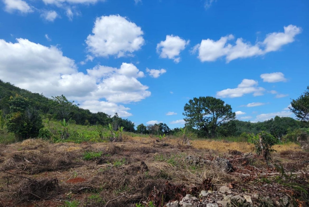 Fifth image of Red Bank in Hat Field, Manchester, Jamaica - property is For Sale