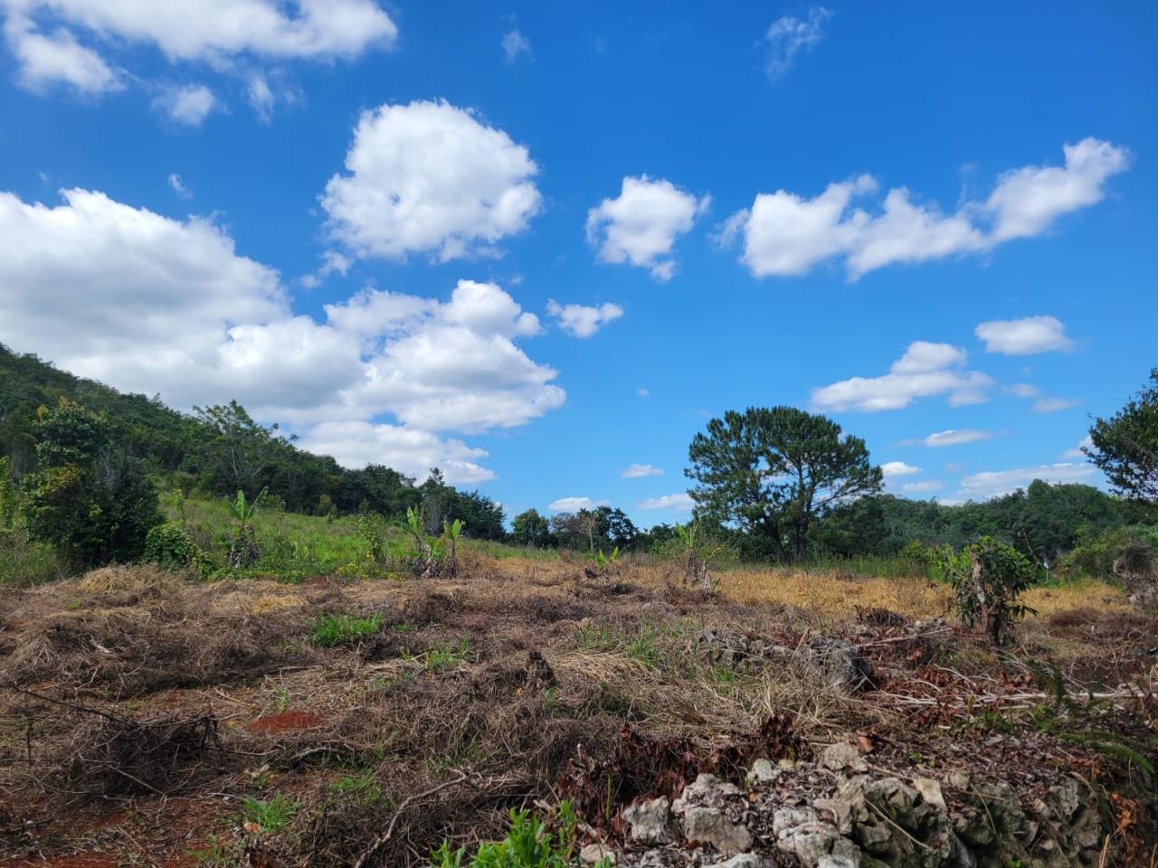 Fifth image of Red Bank in Hat Field, Manchester, Jamaica - property is For Sale
