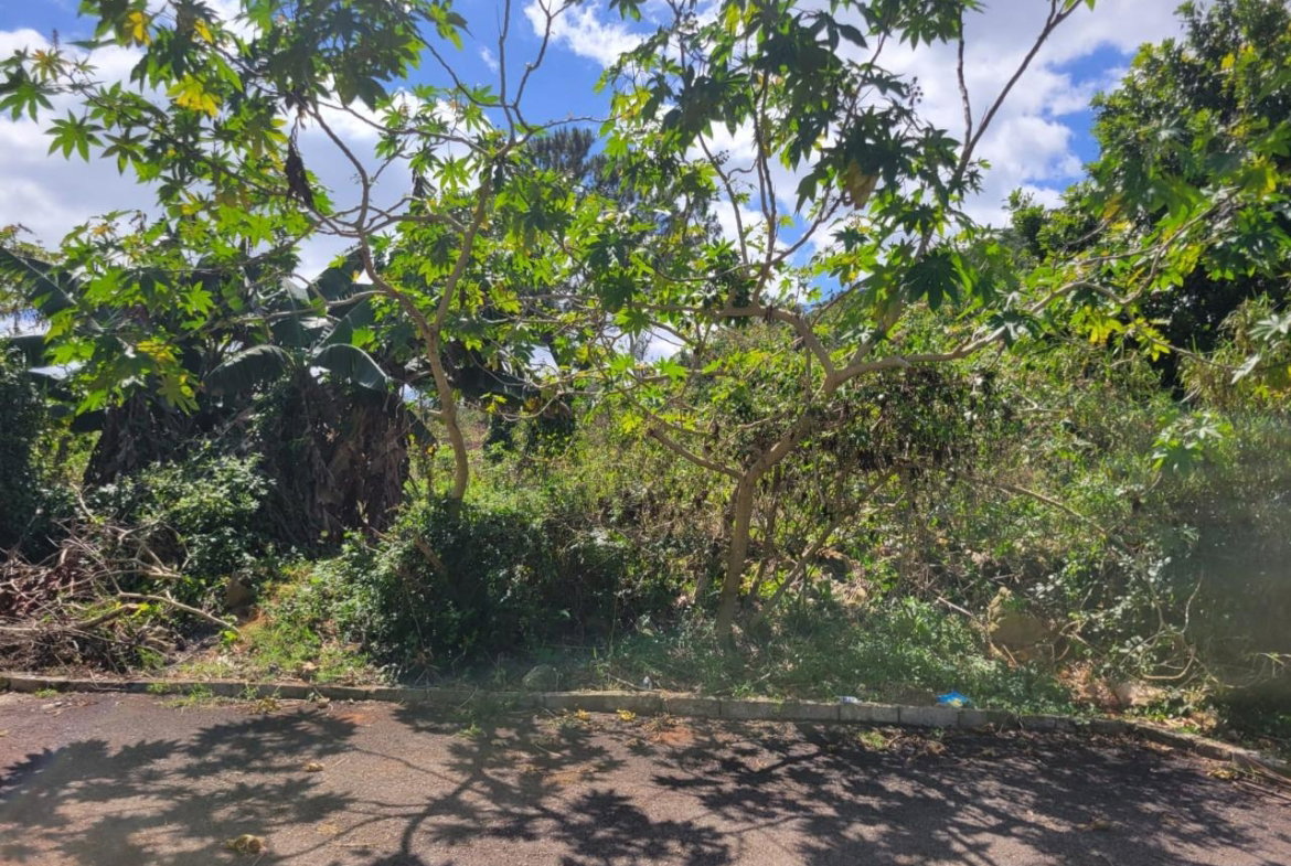 Sixth image of Red Bank in Hat Field, Manchester, Jamaica - property is For Sale