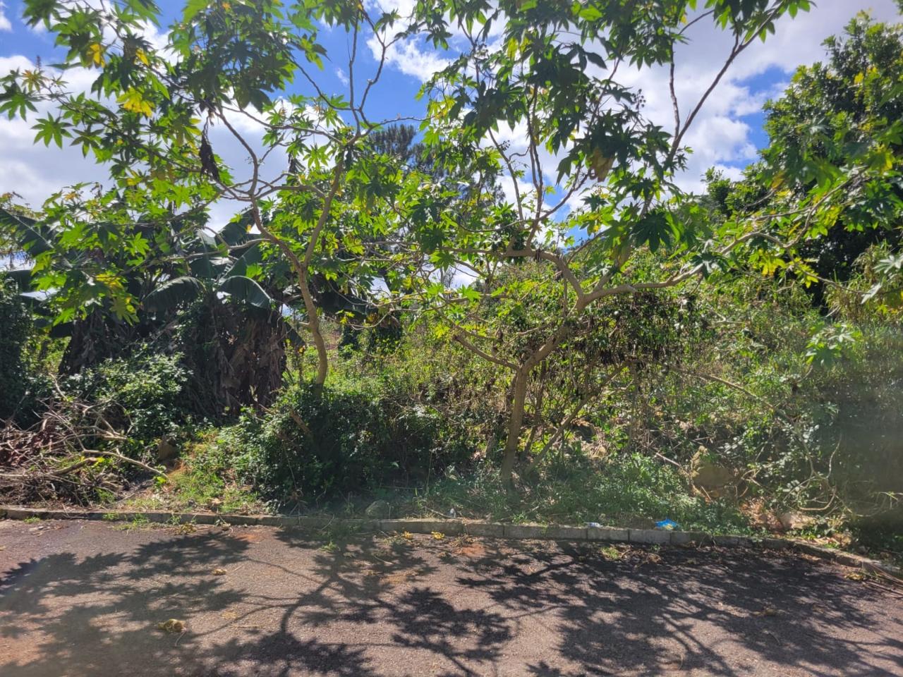 Sixth image of Red Bank in Hat Field, Manchester, Jamaica - property is For Sale