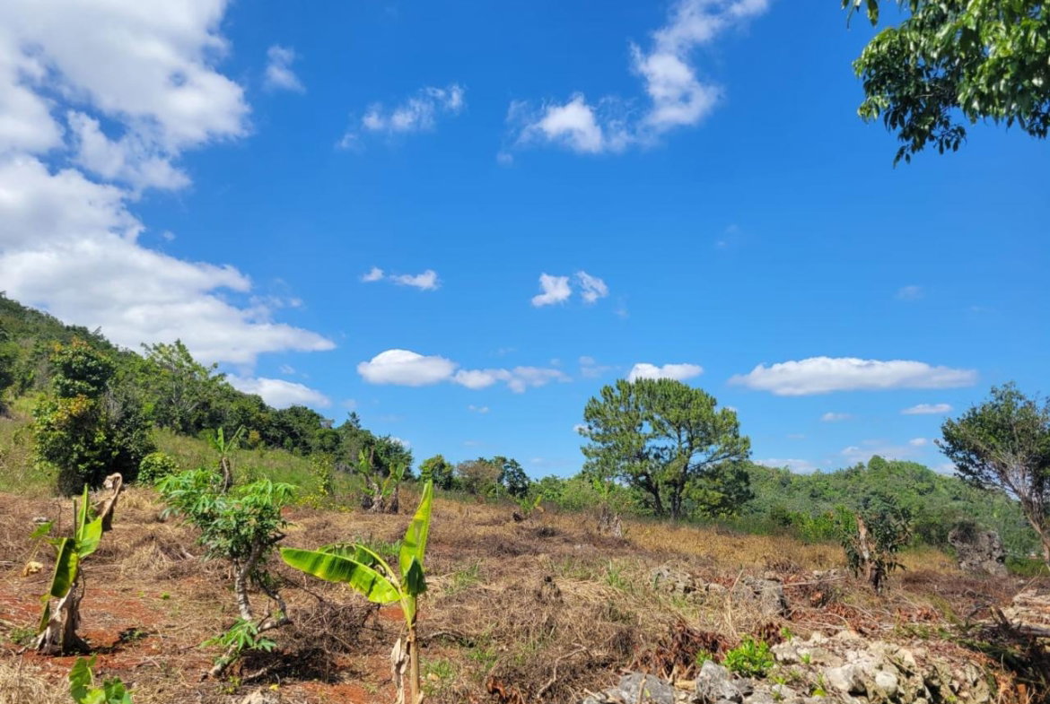 Seventh image of Red Bank in Hat Field, Manchester, Jamaica - property is For Sale