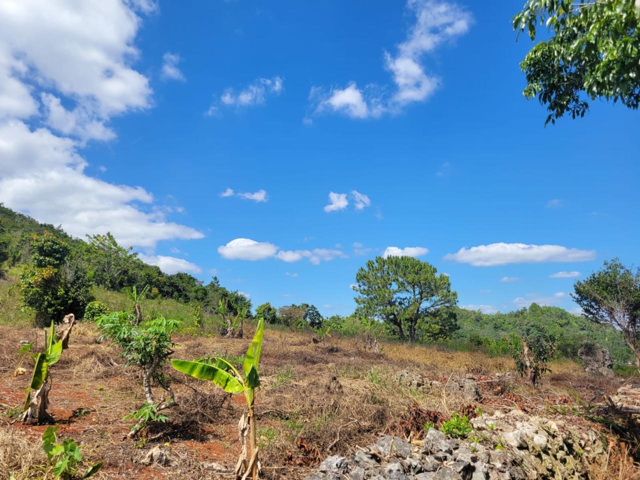 Seventh image of Red Bank in Hat Field, Manchester, Jamaica - property is For Sale