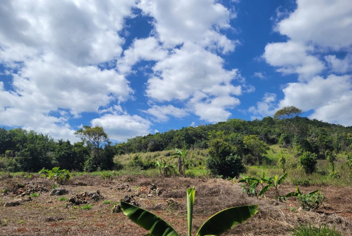 Eighth image of Red Bank in Hat Field, Manchester, Jamaica - property is For Sale