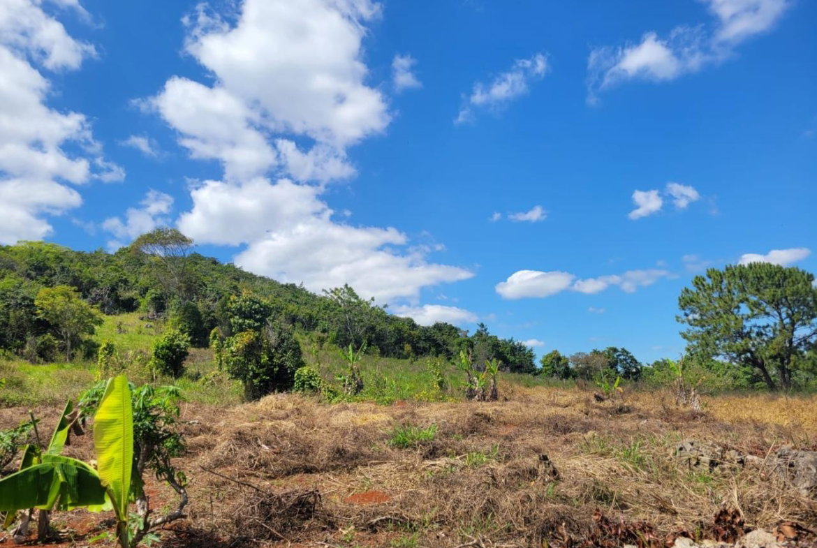 Ninth image of Red Bank in Hat Field, Manchester, Jamaica - property is For Sale