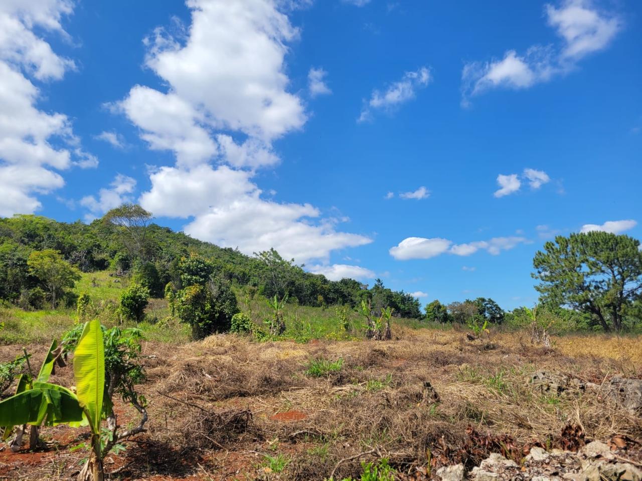 Ninth image of Red Bank in Hat Field, Manchester, Jamaica - property is For Sale