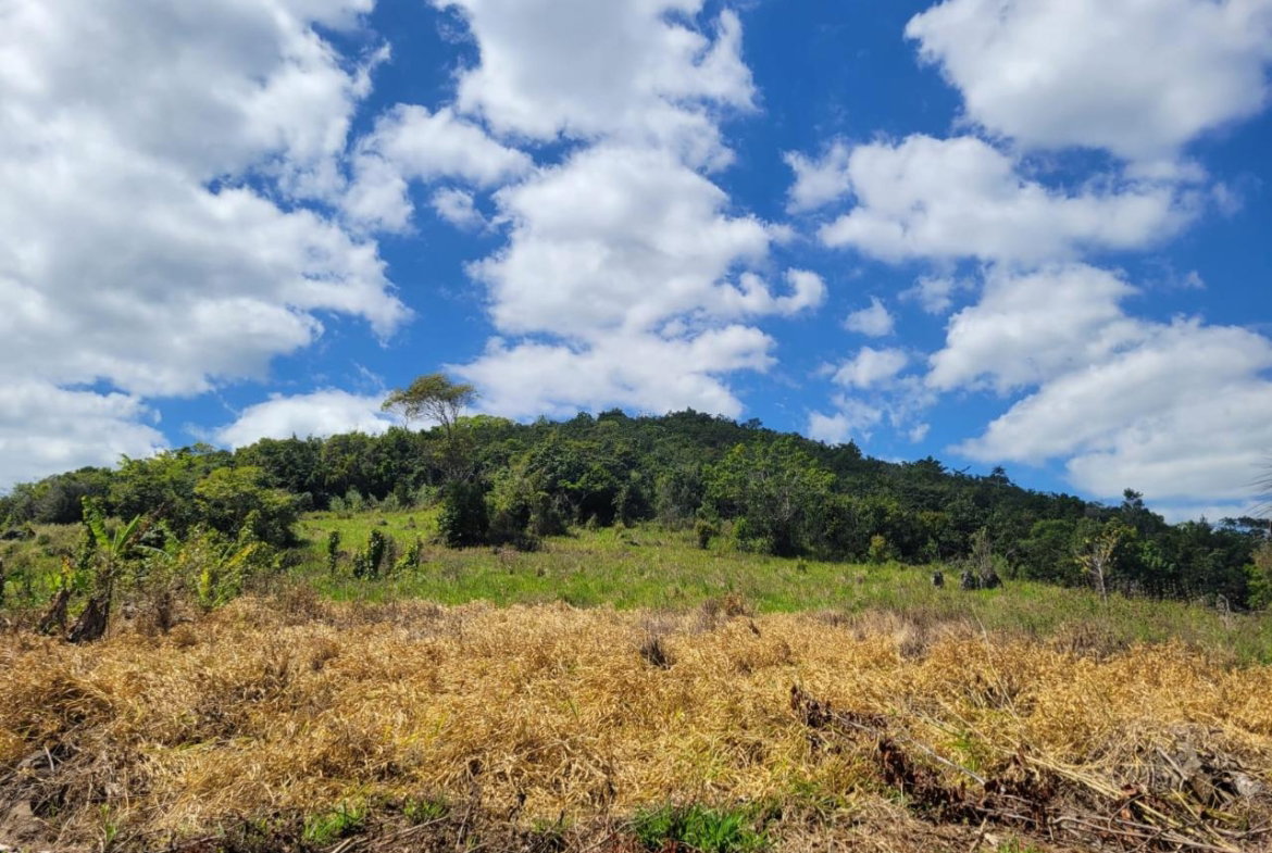 Tenth image of Red Bank in Hat Field, Manchester, Jamaica - property is For Sale