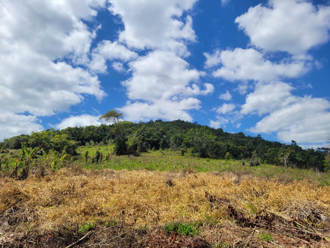 Tenth image of Red Bank in Hat Field, Manchester, Jamaica - property is For Sale
