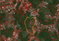 First image of Red Bank in Hat Field, Manchester, Jamaica - property is For Sale