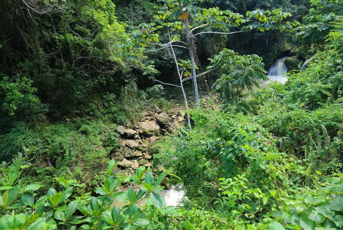 Thirteenth image of Discovery Bay in Discovery Bay, St. Ann, Jamaica - property is For Sale