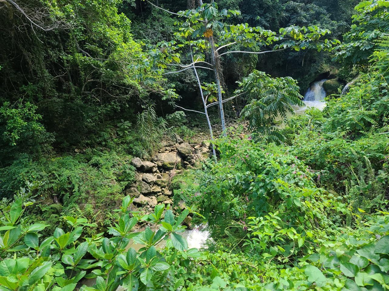Thirteenth image of Discovery Bay in Discovery Bay, St. Ann, Jamaica - property is For Sale