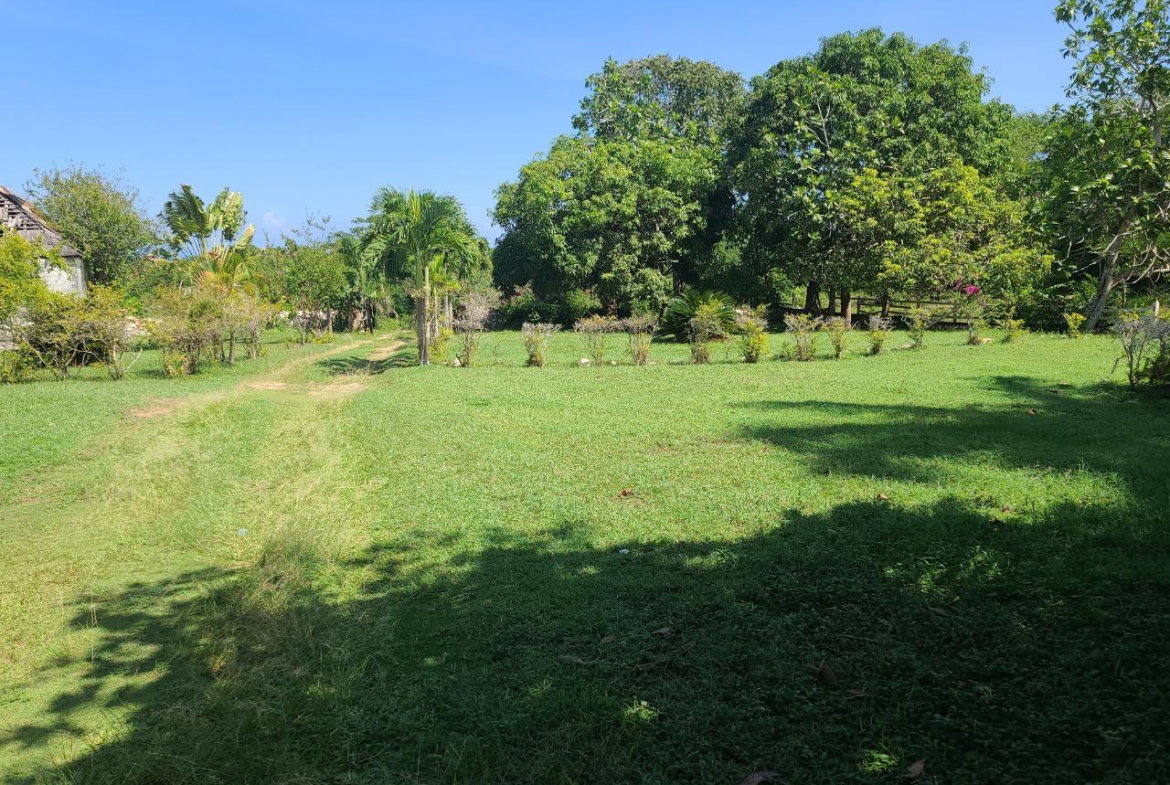 Fourteenth image of Discovery Bay in Discovery Bay, St. Ann, Jamaica - property is For Sale