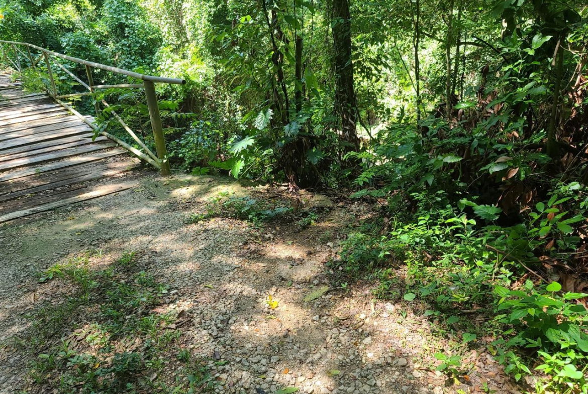 Sixteenth image of Discovery Bay in Discovery Bay, St. Ann, Jamaica - property is For Sale