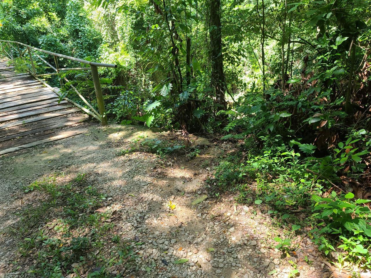 Sixteenth image of Discovery Bay in Discovery Bay, St. Ann, Jamaica - property is For Sale