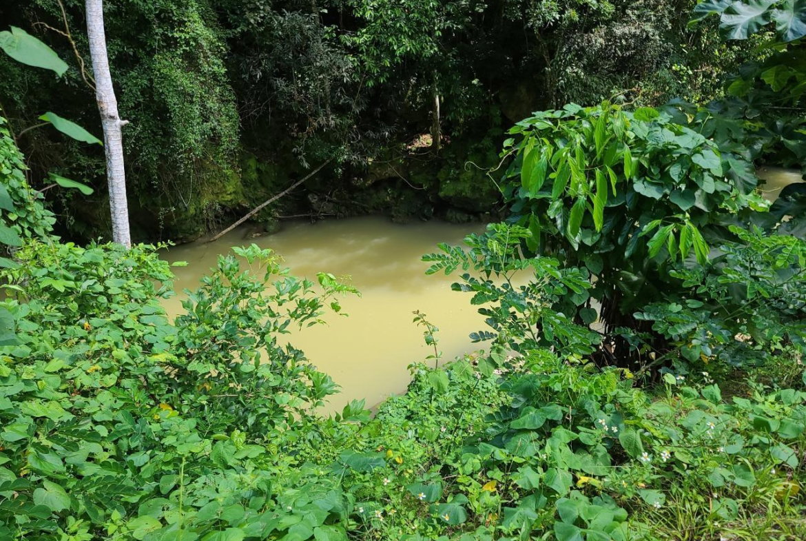 Seventeenth image of Discovery Bay in Discovery Bay, St. Ann, Jamaica - property is For Sale