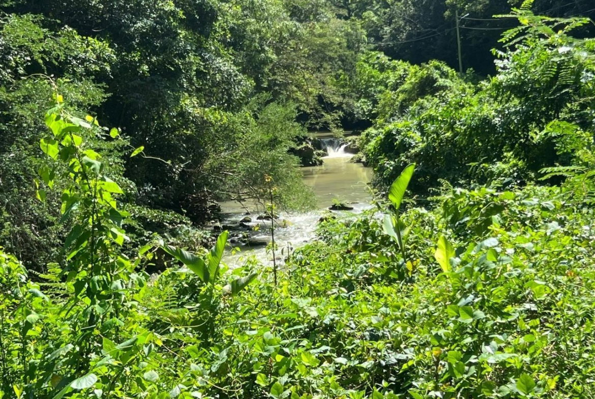 Sixth image of Discovery Bay in Discovery Bay, St. Ann, Jamaica - property is For Sale