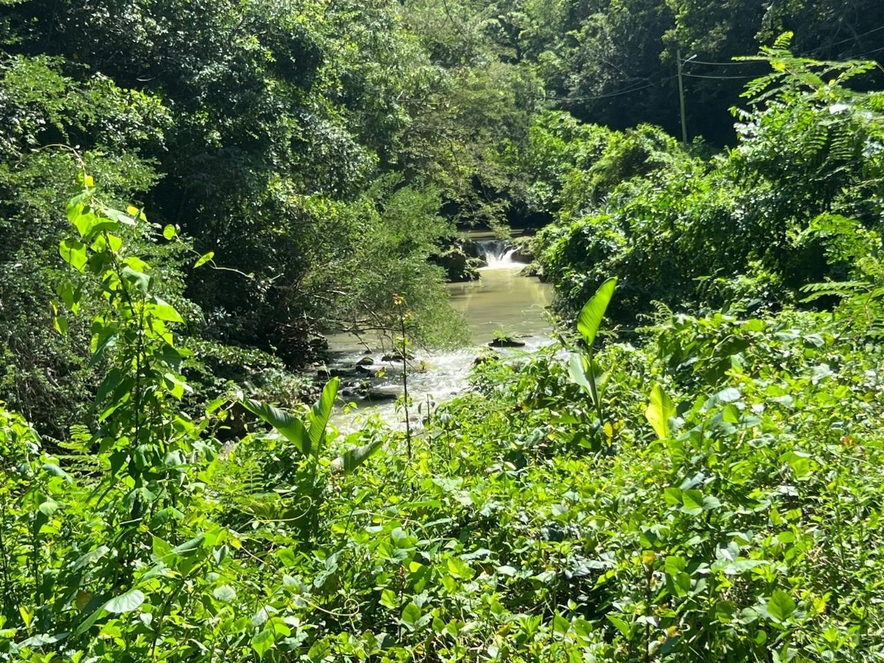 Sixth image of Discovery Bay in Discovery Bay, St. Ann, Jamaica - property is For Sale