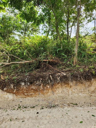 Eleventh image of Breadnut Hill in Ocho Rios, St. Ann, Jamaica - property is For Sale