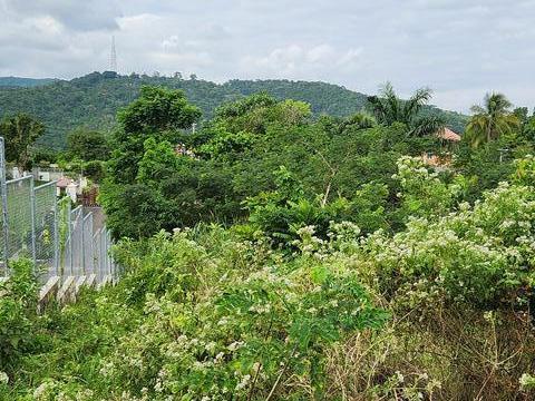 Third image of Breadnut Hill in Ocho Rios, St. Ann, Jamaica - property is For Sale