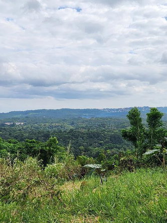 Fourth image of Breadnut Hill in Ocho Rios, St. Ann, Jamaica - property is For Sale