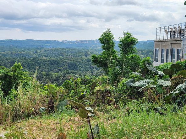 Fifth image of Breadnut Hill in Ocho Rios, St. Ann, Jamaica - property is For Sale