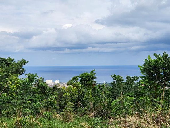 Sixth image of Breadnut Hill in Ocho Rios, St. Ann, Jamaica - property is For Sale